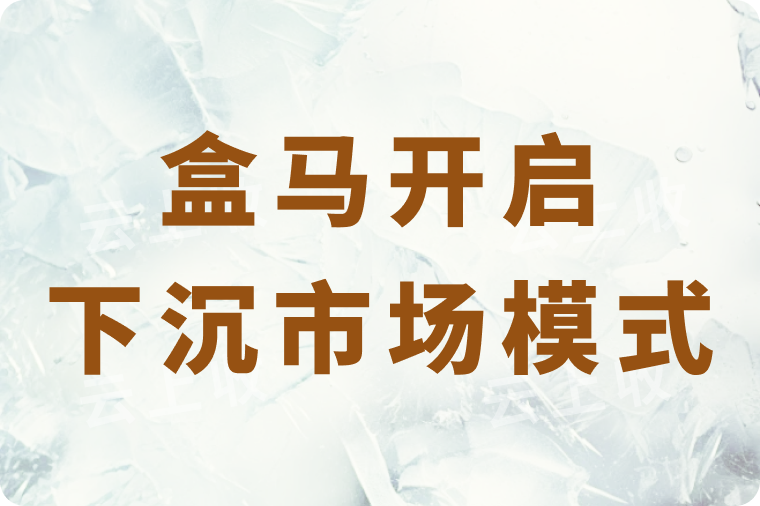 盒马开启 “狂飙” 模式，加速市场 “下沉” 步伐