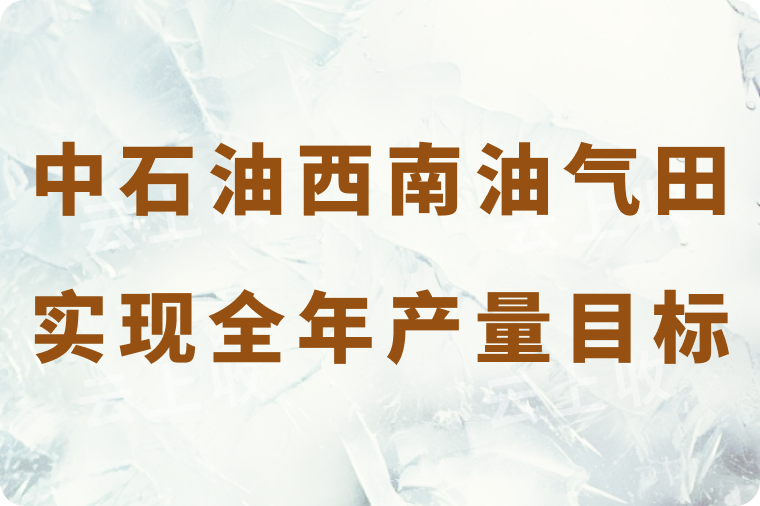 中国石油西南油气田：凝心聚力，圆满实现全年产量目标