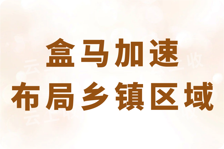 盒马加速布局乡镇区域，第一家镇级商店正式营业！